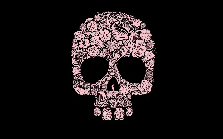 skull phone case
