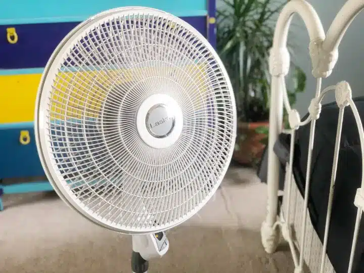 best stand pedestal fans